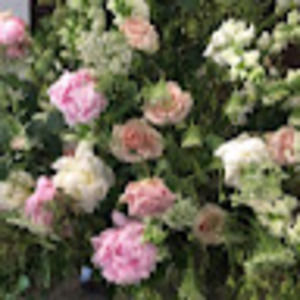 Meet your Posher, Charlene